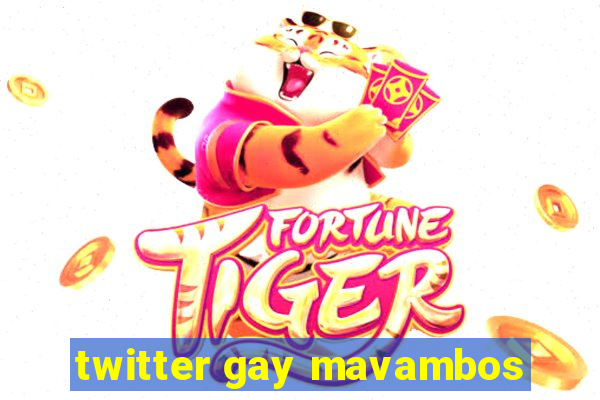 twitter gay mavambos